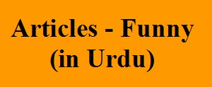 Funny Articles (in Urdu), logo