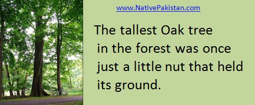 Inspiration - 'The tallest Oak tree in the Forest..' - Inspirational Quotes in English - Golden Words