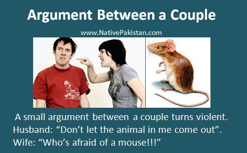 Husband Wife Jokes - Argument between a Couple - Funny Marriage Jokes
