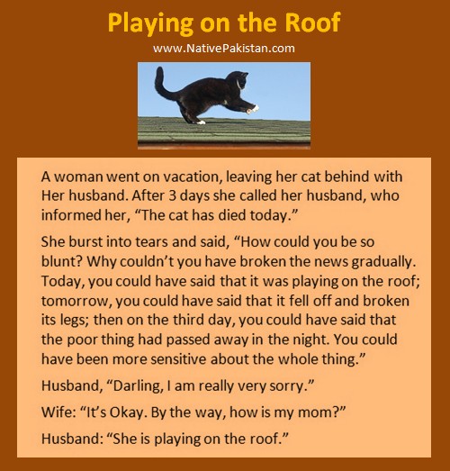 Husband Wife Jokes in English - Cat Playing on the Roof - Husband and Wife Jokes