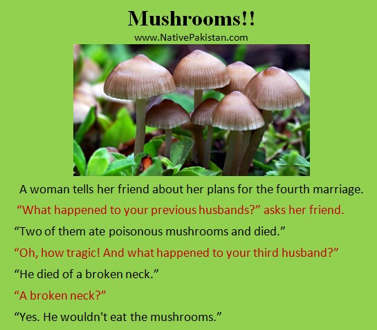 Husband and Wife Jokes - Poisonous Mushrooms - Funny Jokes about Married Life