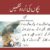 Urdu Poems for Kids