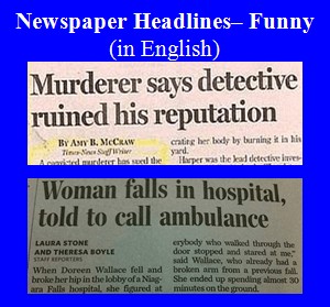 Newspaper Headlines - Funny, in English, logo