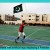 Pakistani Flag and its Lovers