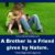 Brother Quotes (in English)