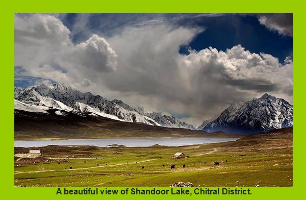 Chitral Images: Picture of Shandoor Lake, Chitral District - Photos of Chitral