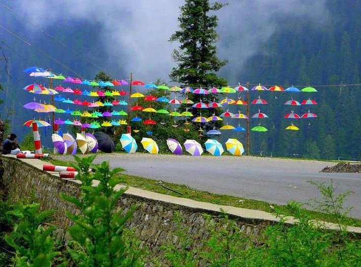 Murree Photos - A road side Umbrella seller near Murree - Murree Pictures Murree Pics: A man selling colurful Umbrellas at road side near Murree - Photos of Murree