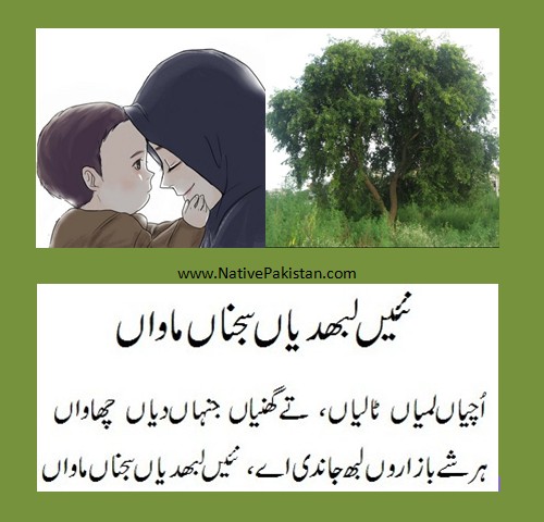 Poems about Mother in Punjabi :"Nahi labhdiyaan Sajnaan Maawaan" - Poetry for Mothers