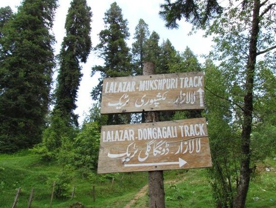 Photos of Nathia Gali - A Board giving direction to Lalazar Wildlife Park and Mushkpuri Track - Nathia Gali Pics