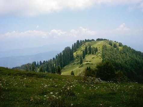 Photos of Nathia Gali - Mukshpuri Peak Nathia Gali during Summer - Images/Pics of Nathia Gali