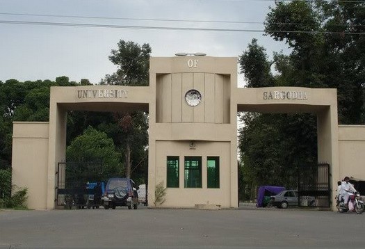 Sargodha Photos - University of Sargodha, main entrance - Pictures of Sargodha Sargodha Photos - Sargodha Pictures: University of Sargodha, main entrance - Photos of Sargodha