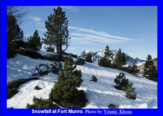 Dera Ghazi Khan Photos - Snowfall at Fort Munro - DG Khan Pics DG Khan Pics & Photos: Snowfall at Fort Munro - Images and Photos Dera Ghazi Khan