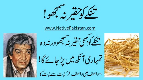 Quotes & Sayings of Wasif - 'Tinkay ko haqeer na samjho' - Wasif Ali Wasif Quotes - Wasif Sayings