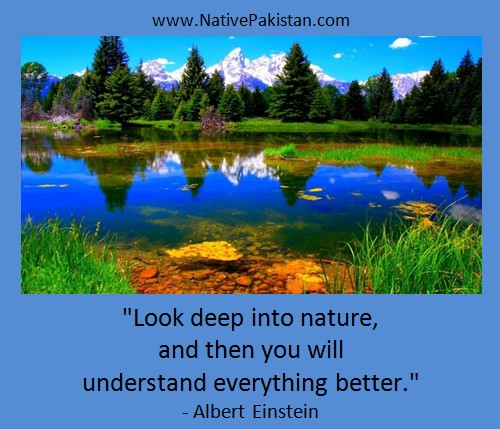 Inspiration - 'Look deep into nature', Quote by Albert Einstein - Inspirational Quotes in English - Golden Words