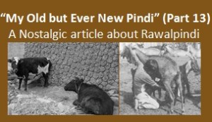 Rawalpindi article - My Old but Ever New Pindi (Part 13), logo for article