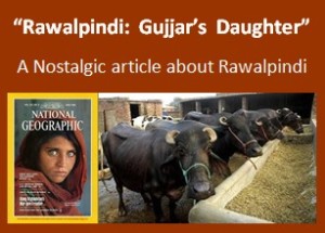 Rawalpind, Gujjar's Daughter, article logo