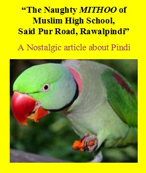 The Naughty Mithoo of Muslim High School, Saidpur Road, Rawalpindi, logo of article