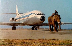 Caption Writing Talent : Elephant pulling a commercial aircraft