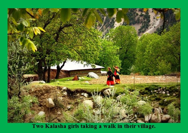 Kalash Photos; Two Kalasha girls taking a walk in their village - Kalash Valleys Pictures, Chitral Kalash Photos, Images; Two Kalasha girls taking a walk - Kalash Valleys Pictures, Photos of Kalash Valleys of Chitral