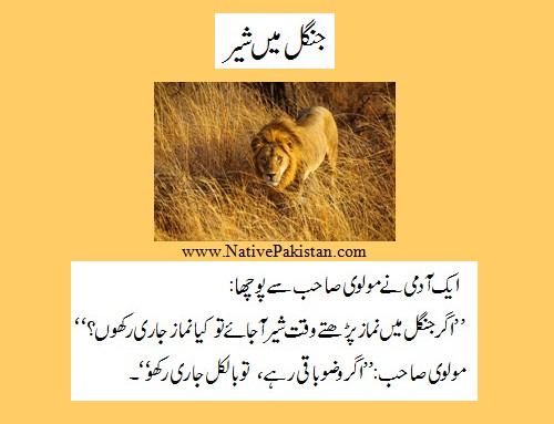 Maulvi Jokes - Jungle mein Sher - Mollvi Jokes Molvi Jokes - Lion in the Jungle - Funny Maulvi Jokes