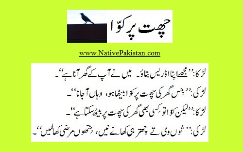 Urdu Jokes about Men & Women - Crow on the roof top - Men and Women Jokes in Urdu