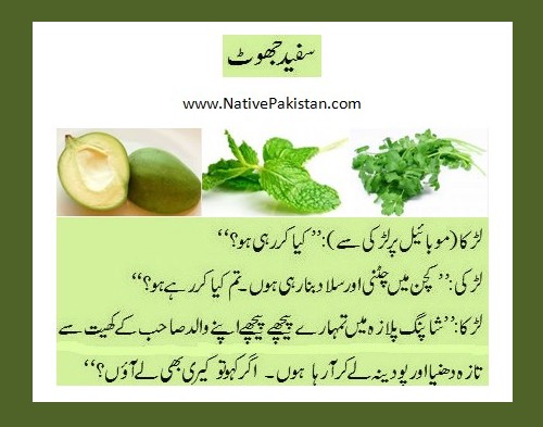 Urdu Jokes about Men & Women - Girl makes Chutney in the Kitchen - Men and Women Jokes in Urdu