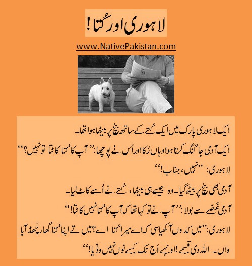 Punjabi Jokes : Lahori and a Dog in a Park - Jokes from Lahore
