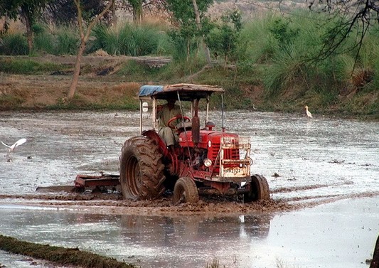 Pictures of Hafizabad : Tractor Preparing the land for the rice crop - Hafizabad Images