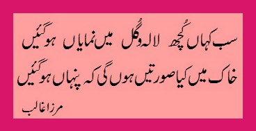 Mirza Ghalib : Khaak mein kya suratein hongi k pinhan ho gain