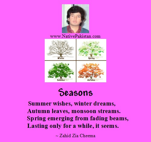 Poets of Rawalpindi: English Poem "Seasons" by Zahid Zia Cheema in Rawalpindi Blog 