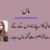Quotes about Mother in Urdu