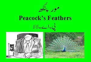 "Mor Pankh" (Peacock's Feathers), logo for poem Mor Pankh' by Maj Gen Parvez Akmal 42nd PMA - Pakistan Army Poets Punjabi Poetry - Punjabi Poems by Army Officers