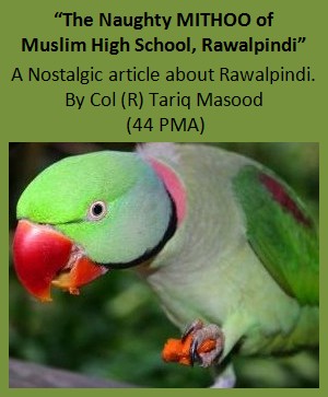 "The Naughty MITHOO of Muslim High School, Said Pur Road, Rawalpindi", logo for article. Pakistan Army Blog (Retired Officers)
