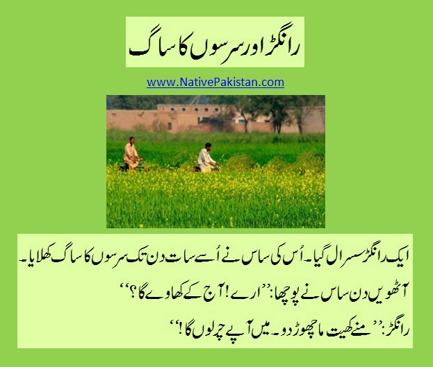 Urdu Jokes - Rangar eats Saag for 7 Days - Mother in Law Jokes in Urdu