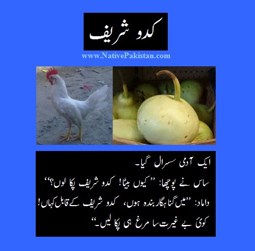 Urdu Jokes: Mother-in-law wanted to cook 'Kadoo' for her son-in-law - Mother in Law Jokes in Urdu