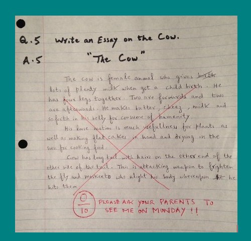 Funny Answer Sheets in English - A Funny Essay on the Cow - Funny Test and Exam Answer Sheets Funny Test and Exam Answer Sheets in English: A Funny Essay on the Cow - Funny Answer Sheets