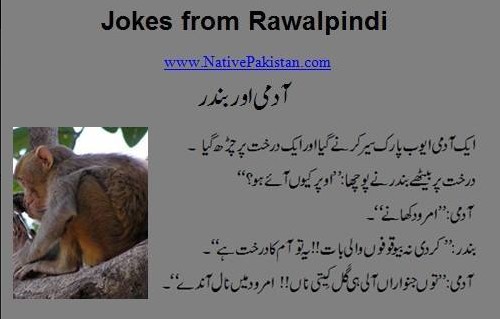 Rawalpindi Jokes - A man climbs a mango tree in Ayub Park - Punjabi Jokes from Rawalpindi Rawalpindi Punjabi Jokes : A man climbs a mango tree in Ayub Park and eats 'Amrood' - Funny Jokes from Rawalpindi
