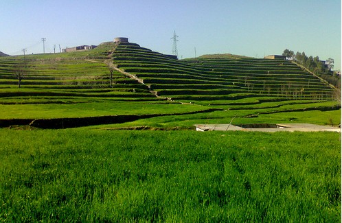 Lower Dir Photos - Fields near Timargara - Pictures of Lower Dir, KPK Photos of Lower Dir : Green fields near Timargara - Lower Dir Pictures, Images