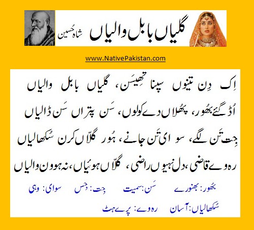 Shah Hussain sufi Poetry :"Ik Din Tenu Sapna Theesan" with English translation