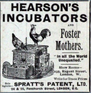 Old ad of Hearsons Incubators