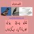 Nursery Rhymes for Children in Punjabi