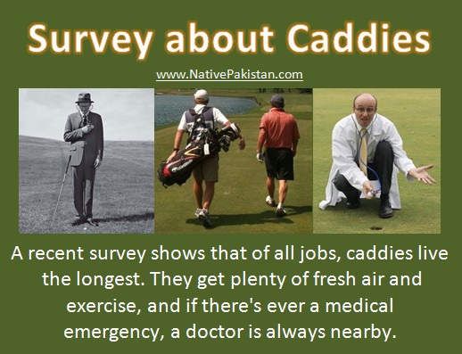 Best Caddie Jokes : Survey about Caddies - Best Golf Jokes ever