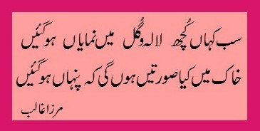 Ghalib, sub kahan kuch lala-o-gul mein namayaan ho gayein