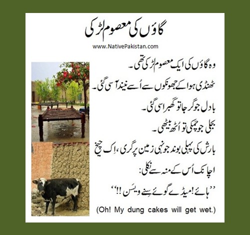 Funny Seraiki Jokes: An innocent village girl : Best Jokes in Seraiki