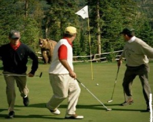 A bear enters a Golf Course from the jungle and the scared Golfers run away: Write a Creative Caption to Practice Caption-Writing for Contests