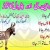 Funny Ads (in Urdu)