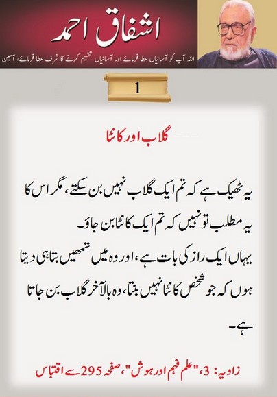 Sayings of Ashfaq Ahmed - Best Quotes of Ashfaq Ahmed - Gulab aur Kanta (Rose and Thorn) - Ashfaq Ahmed Quotes