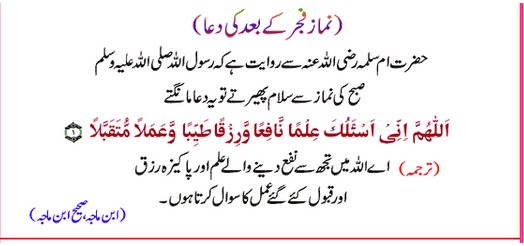 Hadith (Hadees): Dua (Supplication) after Namaz-e-Fajr Hadees (Hadith): Supplication (Dua) after Namaz-e-Fajr