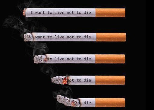 Anti smoking Posters - I want to live not to die - Quit Smoking Anti smoking Slogans - 'I want to live not to die '- Anti smoking Campaign