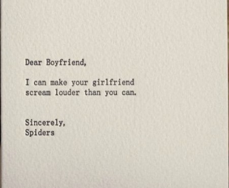 Best Funny Letters, Humorous Letters, Applications: Spider's letter to a boyfriend to make his girlfriend scream louder - Funny Letters 